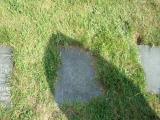 image of grave number 337795